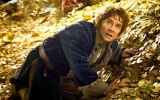 Le-Hobbit---la-désolation-de-Smaug